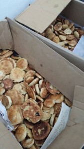 قوافل دعم مجهود شعبي2