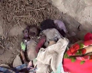 11026194_851029841650225_4244730800721104256_n