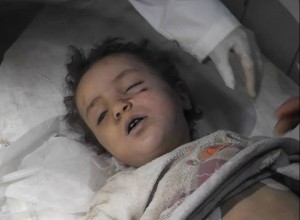 11182277_1633467290201307_4555630879500074484_n