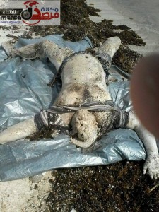 مجزرة عقبان3