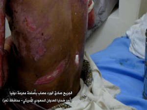 دليل على أسلحة محرمة12