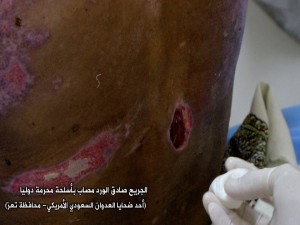 دليل على أسلحة محرمة13