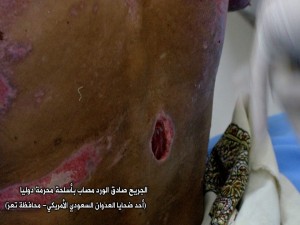 دليل على أسلحة محرمة14