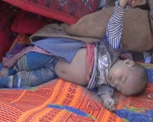 جريمة صعدة2