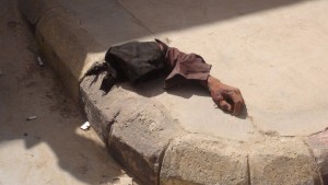 قرية الملحا بذمار5