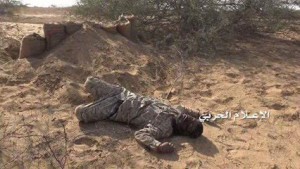 قتلى في حرض وميدي