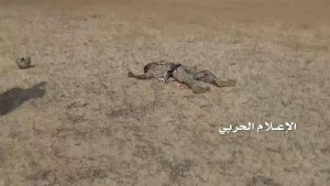 قتلى في حرض وميدي3