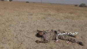 قتلى في حرض وميدي4