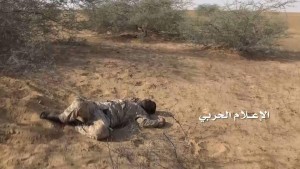 قتلى في حرض وميدي5