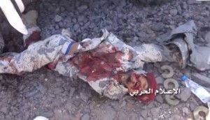 تحرير ذو باب5