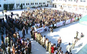 حملة أمريكا4