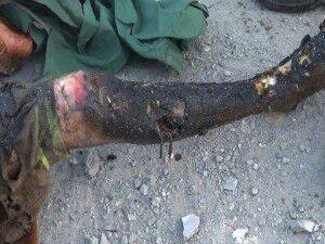 شهداء مصنع عمران9