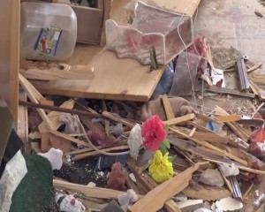 12935370_274468992884912_1119294830_n