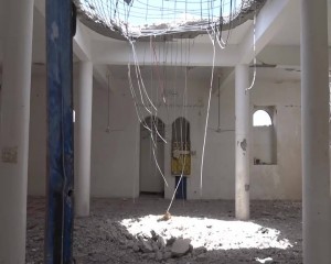 12966453_274468826218262_1659551056_n