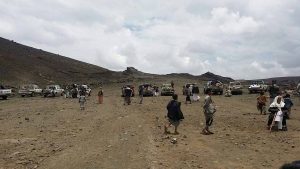 12970790_803915549741616_4410229643468046883_o