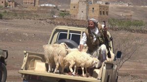 13036465_283458531985958_1233139736_o