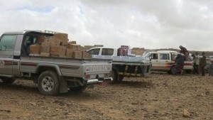 13052698_282277685437376_235417782_o