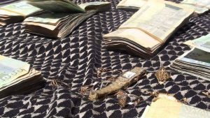 13062762_283459278652550_1868227369_o