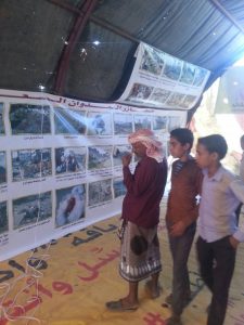 13153294_290971611234650_845142276_n