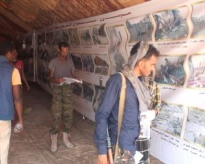 13249616_297026073962537_2045785219_n