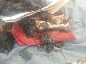 13254242_1536865876620450_1597768299615542775_n