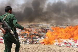 13329821_874608119351139_922951676_n