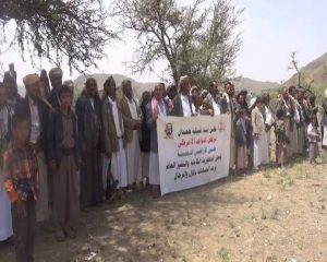 13315551_824758284324009_8742617645147163977_n