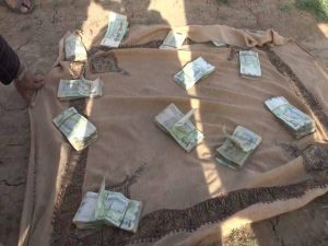 13414080_309359552729189_1068786733_n