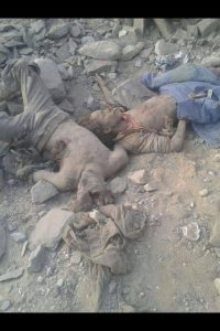 13487882_1546302275676810_2098498678_n