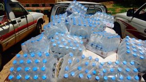 13663605_335019250163219_1674412342_o