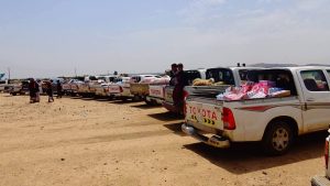 13902059_335923770072767_1934446521_o