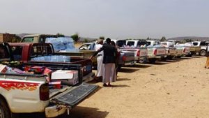 13942389_335923350072809_99811238_n