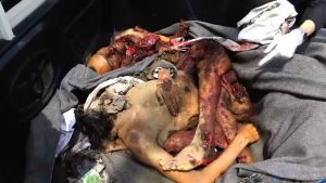 مجزرة قطابر صعدة الثلاثاء 9أ غسطس 2016-6