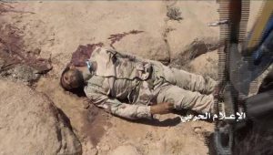 14572803_1581555315484839_2931629394560853579_n