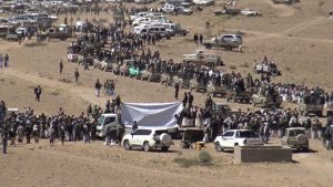 14797270_909223612544142_1731497813_n